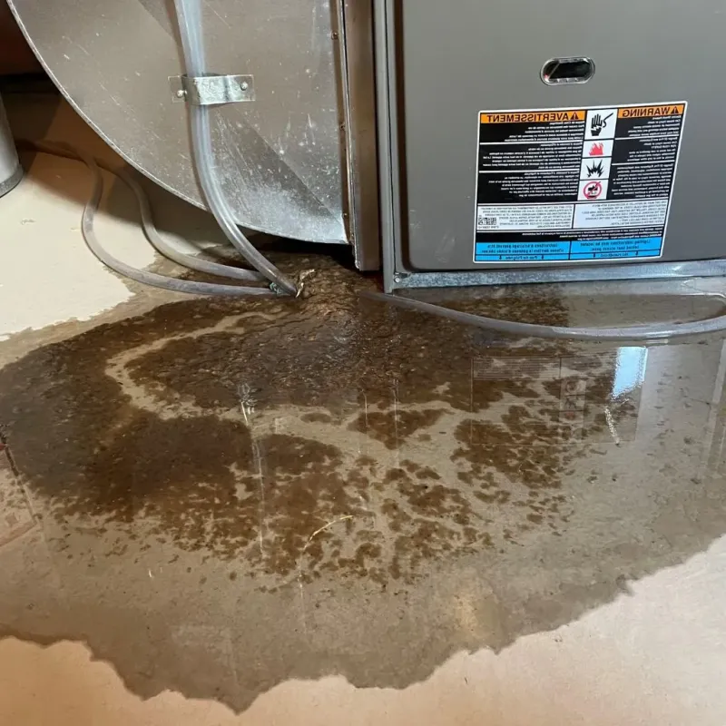 Pipe Burst and Leak Restoration in North Warren, PA