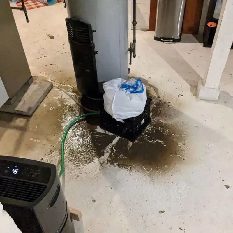 Sewage Backup Cleanup Service in North Warren, PA